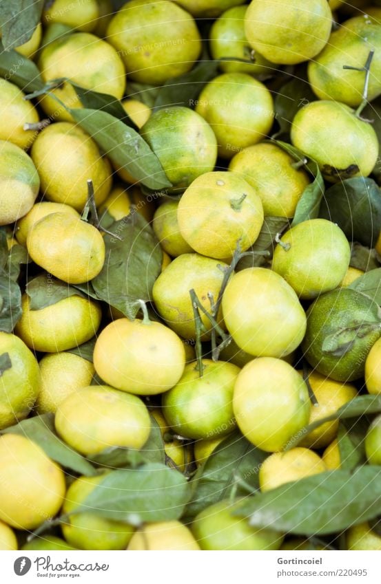 Fruchtig Lebensmittel Ernährung frisch sauer Zitrusfrüchte zitronengelb Mandarine Farbfoto Schwache Tiefenschärfe natürlich biologisch ökologisch grün