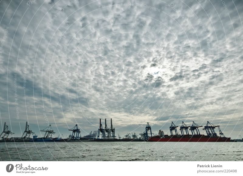 HH - Strandperle Umwelt Landschaft Urelemente Luft Wasser Himmel Wolken Sonnenlicht Wetter Flussufer Hafenstadt Stimmung Hamburg Kran Wirtschaft Schifffahrt