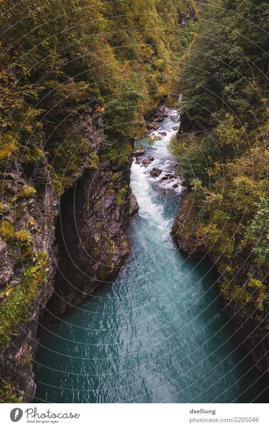 Reißender Fluss durch ein Gebirge im Herbst Ferien & Urlaub & Reisen Ausflug Abenteuer Ferne Expedition Berge u. Gebirge wandern Umwelt Natur Landschaft