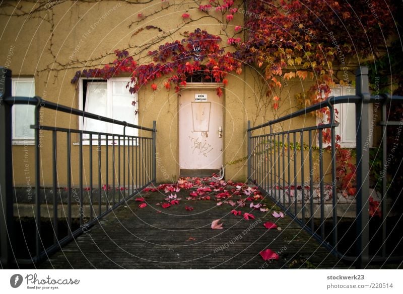 Kein Eingang! Wohnung Haus Herbst Baum Blatt Menschenleer Brücke Bauwerk Gebäude Architektur Mauer Wand Fassade Fenster Tür alt Duft fallen verblüht dehydrieren