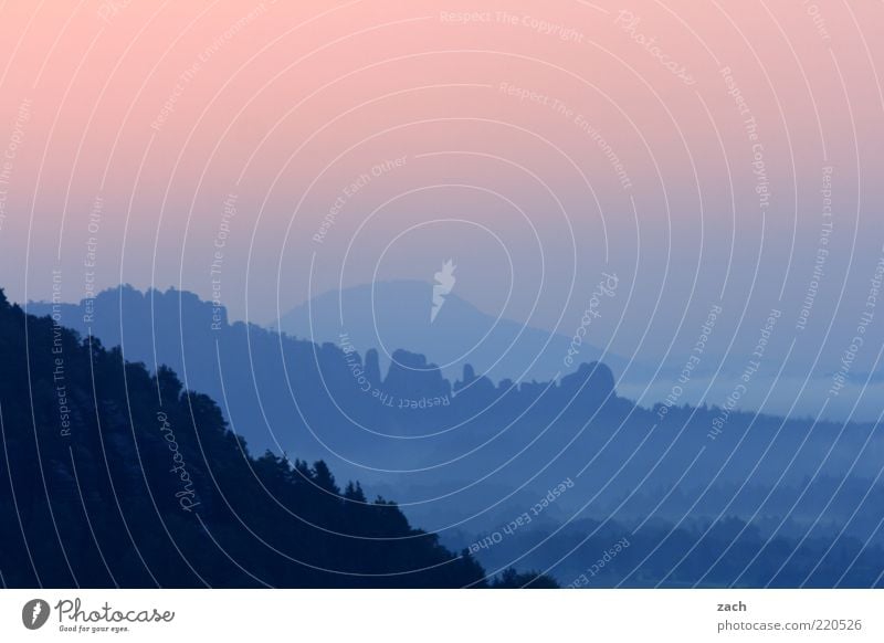 Sachsen Schweiz Natur Himmel Sonnenaufgang Sonnenuntergang Schönes Wetter Nebel Berge u. Gebirge Elbsandsteingebirge Sächsische Schweiz Schrammstein Erholung