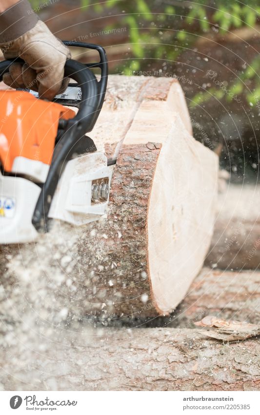 Förster mit Kettensäge sägt Baum Arbeit & Erwerbstätigkeit Beruf Wald Wirtschaft Landwirtschaft Forstwirtschaft Energiewirtschaft Forstwald Säge Maschine