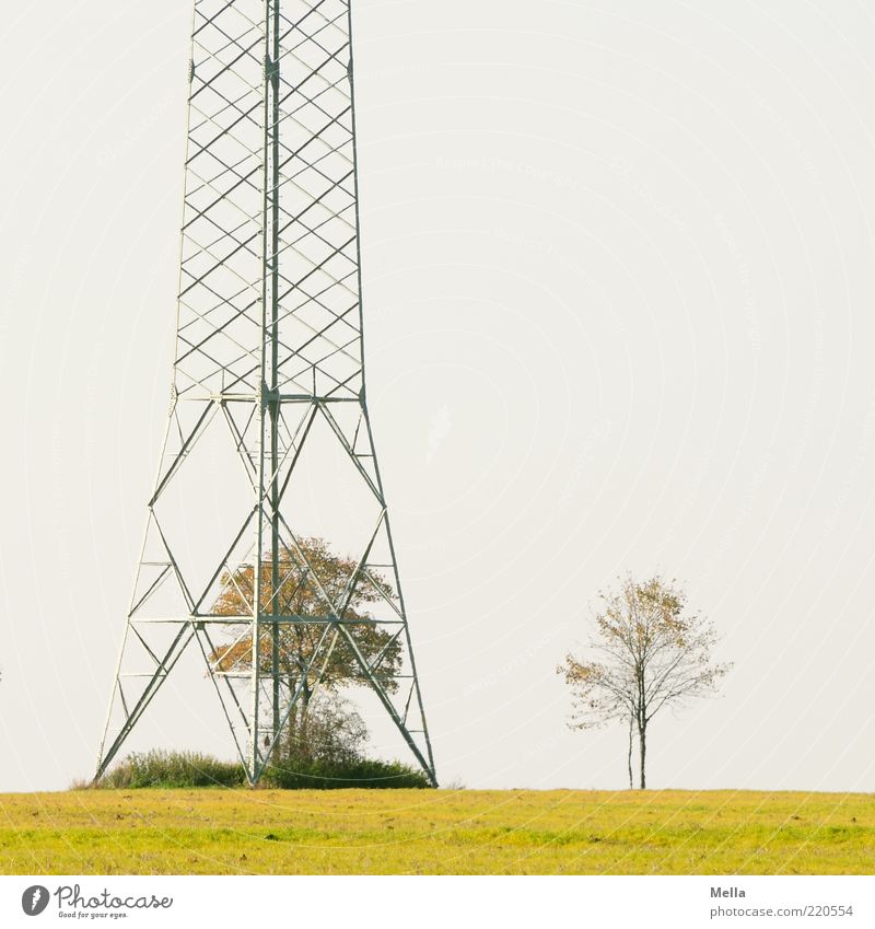 Drinnen und draußen Technik & Technologie Energiewirtschaft Strommast Umwelt Natur Landschaft Pflanze Baum Wiese Metall stehen frei Freiheit Umweltverschmutzung