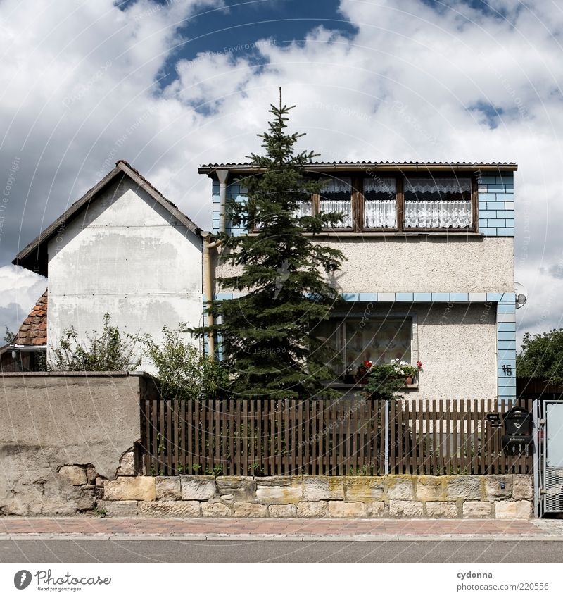 Tanne im Vorgarten Lifestyle Wohlgefühl Zufriedenheit ruhig Häusliches Leben Umwelt Himmel Garten Dorf Einfamilienhaus Fassade ästhetisch einzigartig