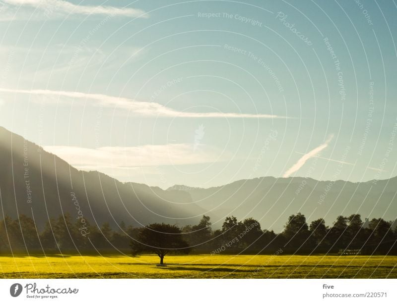 herbstmorgen Natur Landschaft Himmel Wolken Sonne Herbst Schönes Wetter Pflanze Baum Gras Sträucher Blatt Grünpflanze Wiese Feld Wald Hügel Felsen