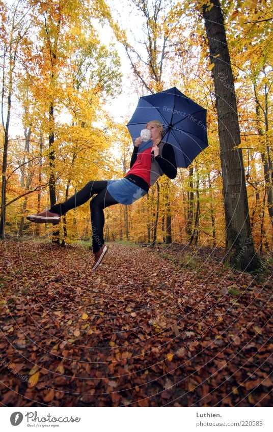 Kaffeekränzchen Mensch feminin Junge Frau Jugendliche Erwachsene 1 Umwelt Pflanze Herbst Wald fliegen trinken außergewöhnlich blond blau mehrfarbig gelb gold