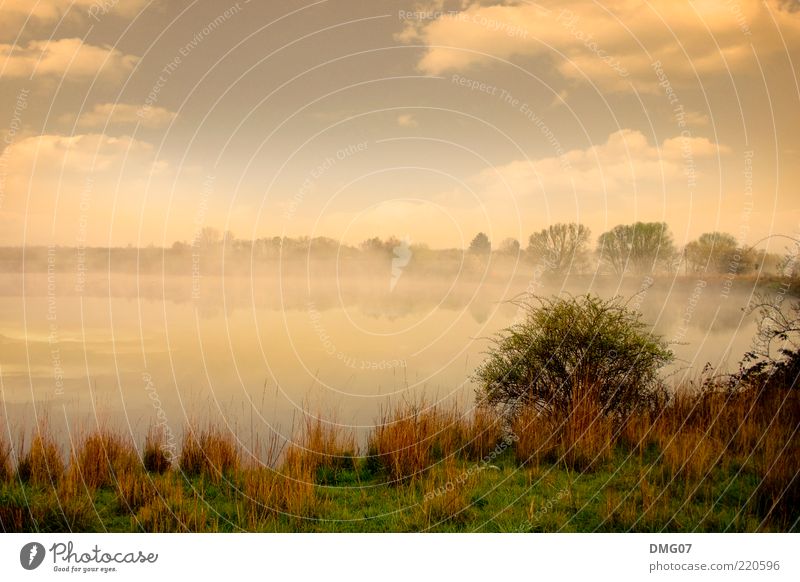 Herbst Umwelt Natur Landschaft Wasser Himmel Wolken Nebel Gras Sträucher Wiese Seeufer Moor Sumpf Teich dunkel exotisch hell blau gelb grau grün Gefühle schön