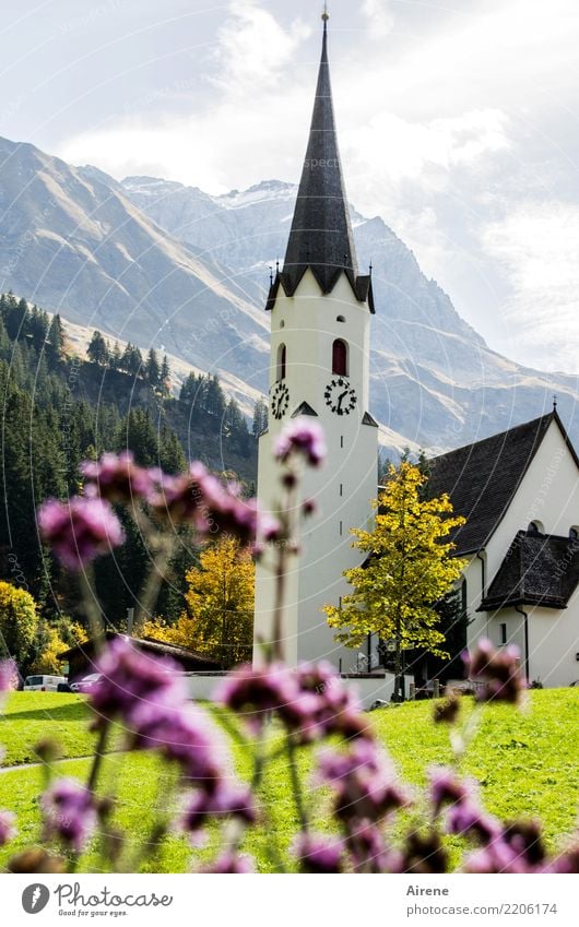 Kirche Tradition Schönes Wetter Blume Berge u. Gebirge Dorf Kirchturm Dorfkirche schön Spitze rosa weiß Zufriedenheit Romantik Glaube Religion & Glaube Idylle