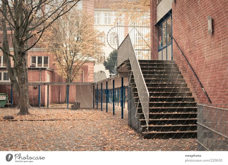 Herbst Schule Herbstlaub Blatt mehrfarbig laublos Treppe Backstein Schulhof Farbfoto Gedeckte Farben Menschenleer Starke Tiefenschärfe Zentralperspektive Totale