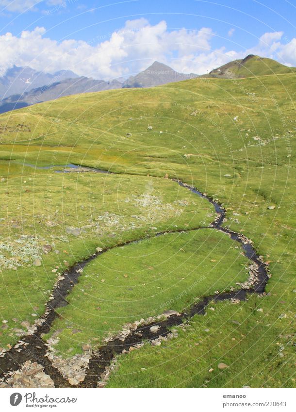 Die Insel im Fluss Freiheit Sommer Berge u. Gebirge Natur Landschaft Wasser Himmel Schönes Wetter Alpen Gipfel Bach außergewöhnlich grün Bewegung Abzweigung