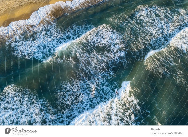 Surfer und Wellen im Meer am Sand Strand von oben exotisch Schwimmen & Baden Freizeit & Hobby Ferien & Urlaub & Reisen Tourismus Ausflug Abenteuer Ferne