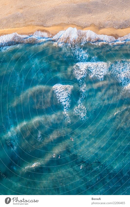 Surfer in türkisblauem Meer und Wellen am Sand Strand exotisch Erholung Schwimmen & Baden Freizeit & Hobby Ferien & Urlaub & Reisen Tourismus Ausflug Abenteuer