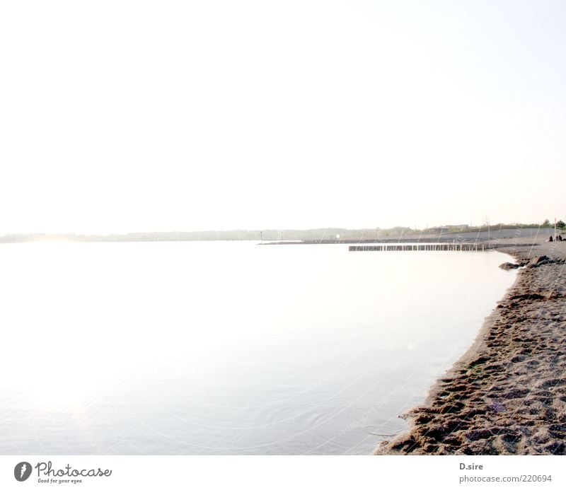 Am See Ferne Sommer Umwelt Natur Landschaft Erde Sand Luft Wasser Wolkenloser Himmel Schönes Wetter Küste Strand Cospudener See nass Sauberkeit blau braun gelb