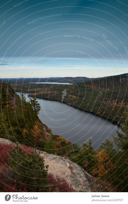 Indian Summer ? Umwelt Natur Landschaft Pflanze Urelemente Luft Wasser Himmel Wolken Horizont Herbst Baum Grünpflanze Wildpflanze ästhetisch Kanada See