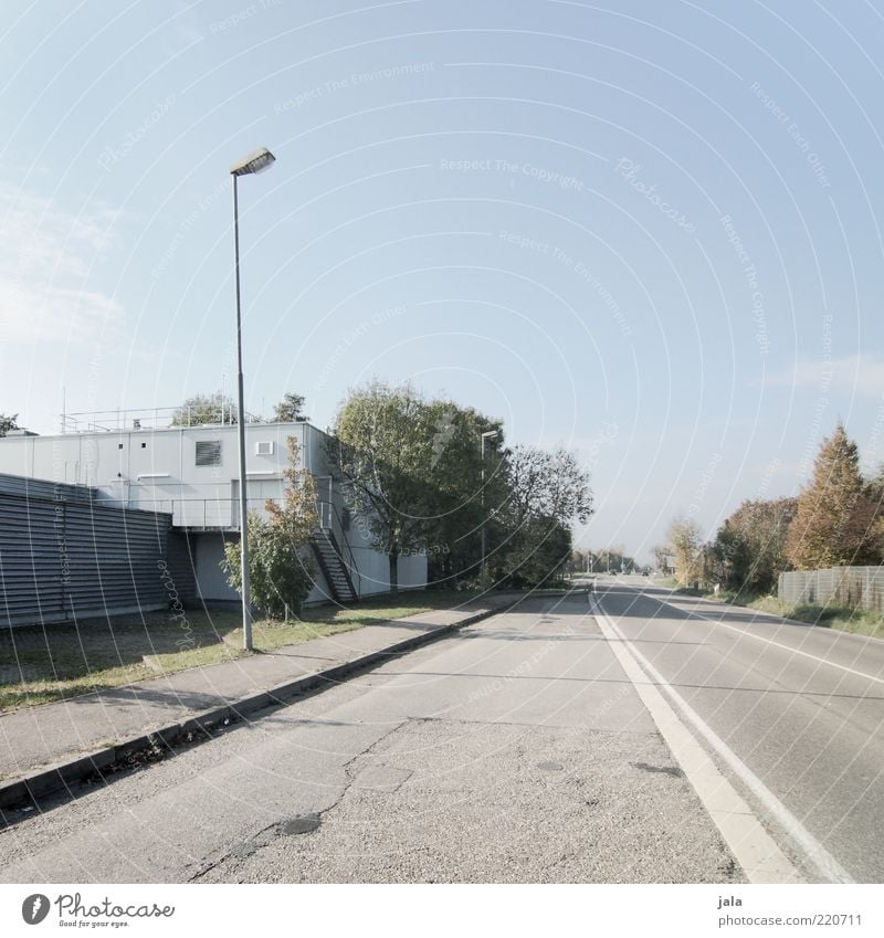 sonntags Umwelt Pflanze Baum Fabrik Bauwerk Architektur Verkehr Verkehrswege Straße Wege & Pfade blau grau leer ruhig Laternenpfahl Straßenbeleuchtung Farbfoto