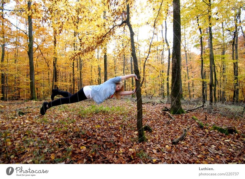 obacht Mensch Junge Frau Jugendliche Erwachsene 1 Natur Pflanze Herbst Baum Wald außergewöhnlich blau mehrfarbig Schweben Herbstwald Baumstamm Weitwinkel