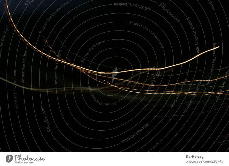 Lichterkette ästhetisch Bewegung Farbfoto Innenaufnahme Experiment abstrakt Bewegungsunschärfe schwungvoll Schwung Lichtspiel Langzeitbelichtung