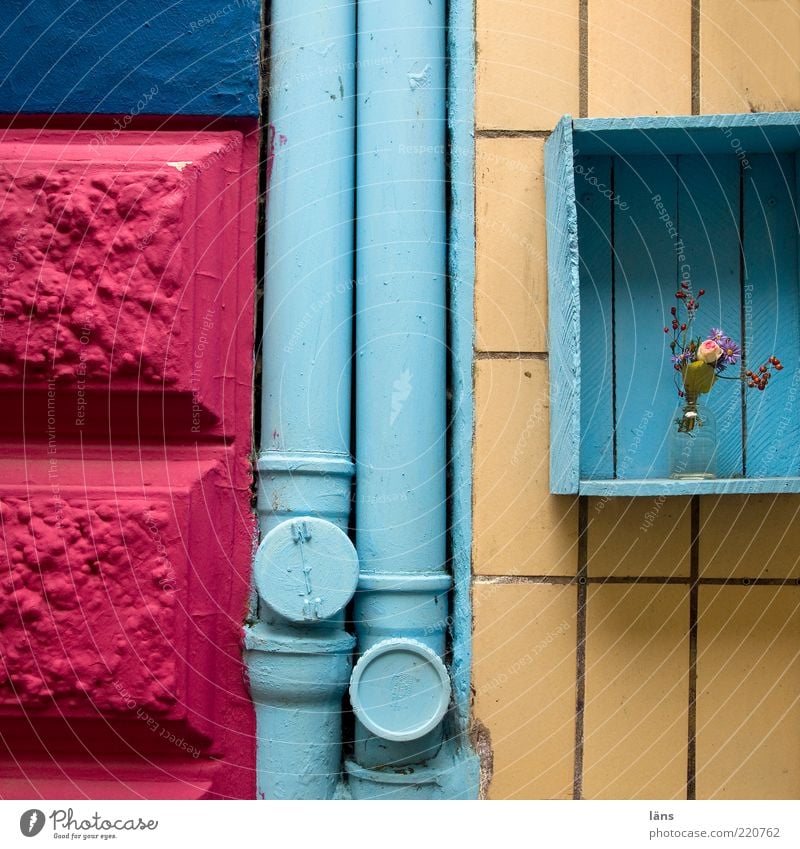 hundert - ab gehts Pflanze Haus Gebäude Fassade Fallrohr Stein Holz Stahl alt blau rosa Blume Blumenstrauß Blumenvase Dekoration & Verzierung Kiste