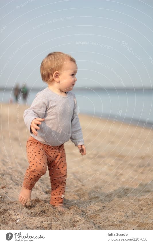 warte auf mich Baby Kleinkind Mädchen 1 Mensch 1-3 Jahre Sand Herbst Schönes Wetter Küste Strand Timmendorfer Strand Leggings brünett Bewegung Lächeln laufen