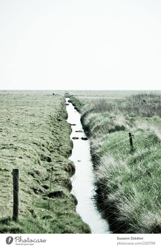 geteilt Wiese Feld Küste Flussufer Fjord Nordsee Insel Moor Sumpf Bach Blick Ferne Hooge Halligen Verbindung Teilung Trennung Außenaufnahme Menschenleer