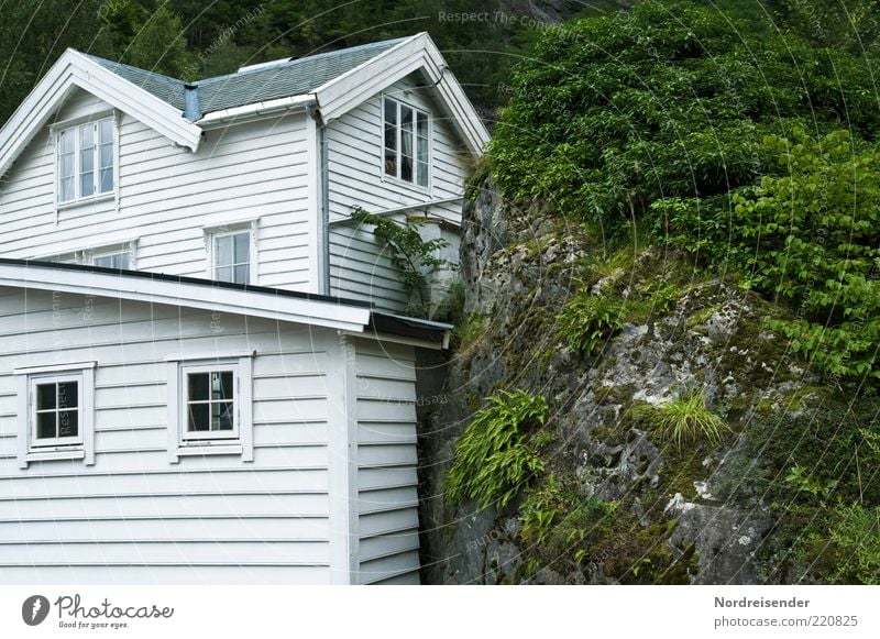 Haus und Hof Ferien & Urlaub & Reisen Natur Pflanze Sträucher Farn Hügel Felsen Einfamilienhaus Architektur Fassade Fenster Stein Holz Skandinavien Holzhaus