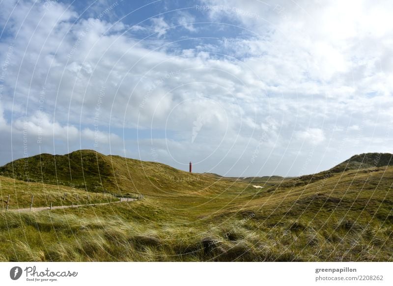 Leuchfeuer Niederlande - Groote Kaap in Julianadorp Natur Landschaft Pflanze Sand Himmel Wolken Gras Sträucher Küste Strand Nordsee Meer Europa Dorf Turm