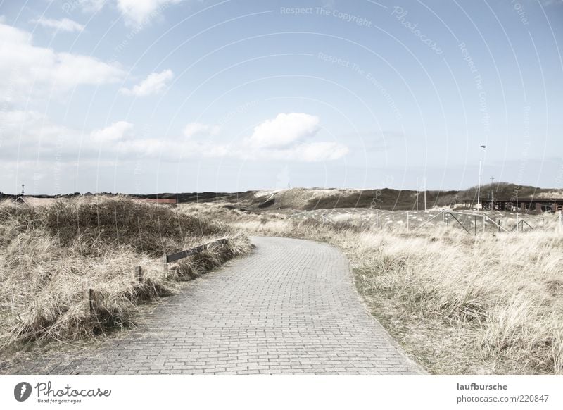 Auf einem nicht geraden Weg harmonisch Wohlgefühl ruhig Freiheit Insel Natur Landschaft Pflanze Sonnenlicht Sträucher Nordsee Menschenleer Wege & Pfade Stein