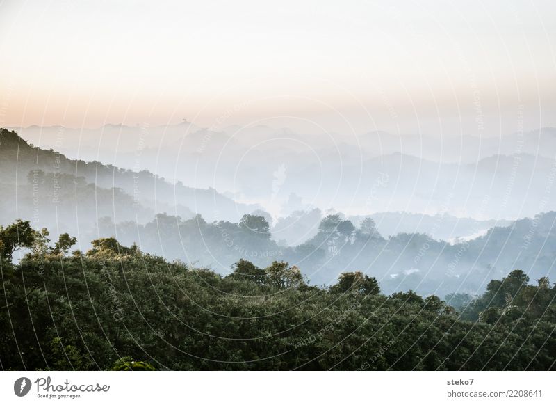 Morgennebel in Myanmar Nebel Berge u. Gebirge Erholung Optimismus Ferien & Urlaub & Reisen ruhig Mrauk U Rakhaing Neuanfang Gedeckte Farben Außenaufnahme