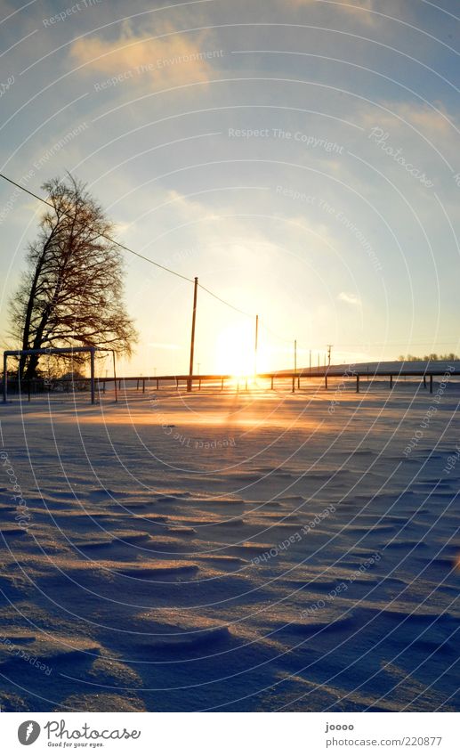 Frostiger Sonnenaufgang Natur Landschaft Himmel Horizont Sonnenuntergang Winter Eis Schnee Alpen leuchten glänzend blau gold Farbfoto Außenaufnahme Menschenleer