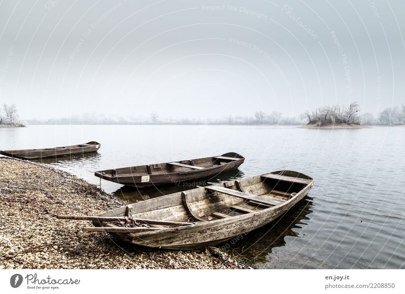 Winterruhe Natur Landschaft Wasser Himmel Seeufer Ruderboot Kahn Wasserfahrzeug alt kalt Einsamkeit Trauer Traurigkeit Farbfoto Gedeckte Farben Außenaufnahme