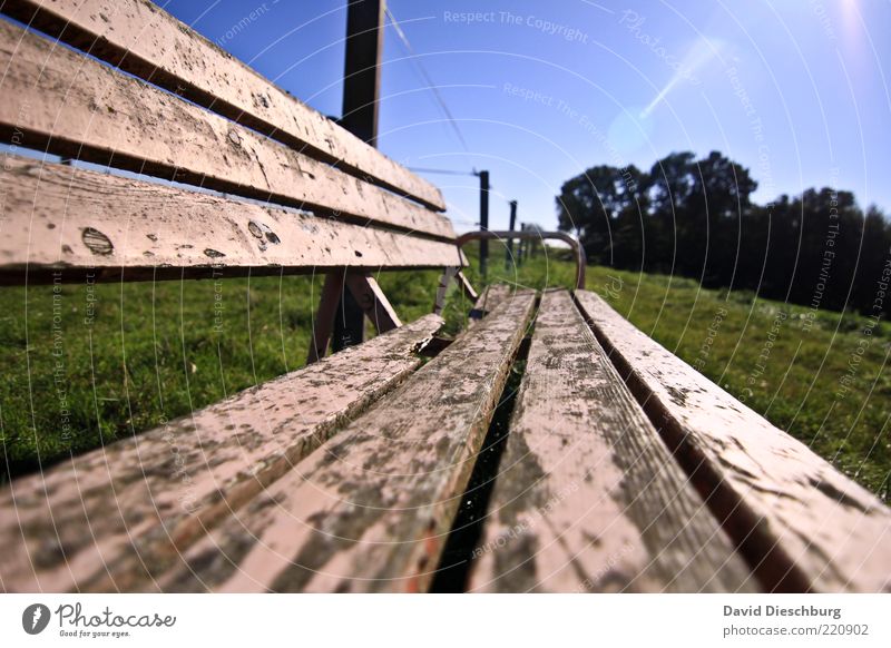 Setz dich und genieße... Natur Pflanze Wolkenloser Himmel Sommer Schönes Wetter Baum Gras Wiese blau grün Bank Holz alt Erholung ruhig Lack morsch Farbfoto