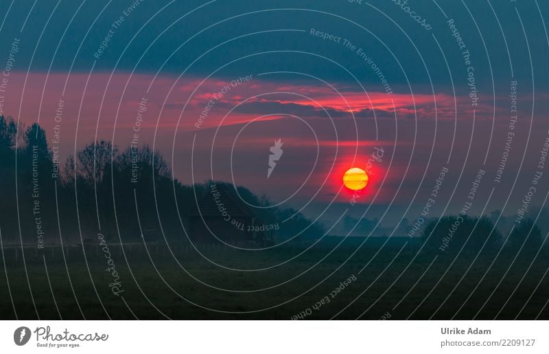 Sonnenaufgang im Teufelsmoor Design Dekoration & Verzierung Tapete Natur Landschaft Wolken Nachthimmel Horizont Sonnenuntergang Sonnenlicht Herbst Winter Nebel