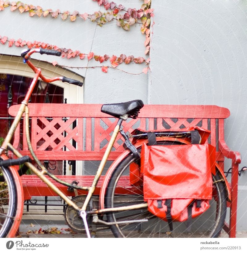 amsterdam color profiles. Fahrradtour Verkehrsmittel Fahrzeug ästhetisch rot Mobilität Bank Herbst Herbstlaub herbstlich Satteltaschen Farbfoto Außenaufnahme