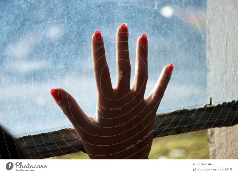 adieu Mensch Junge Frau Jugendliche Hand Finger Fingernagel 1 Glas Hoffnung Traurigkeit Liebeskummer Gruß Abschied winken Fensterscheibe Nagellack rot warten