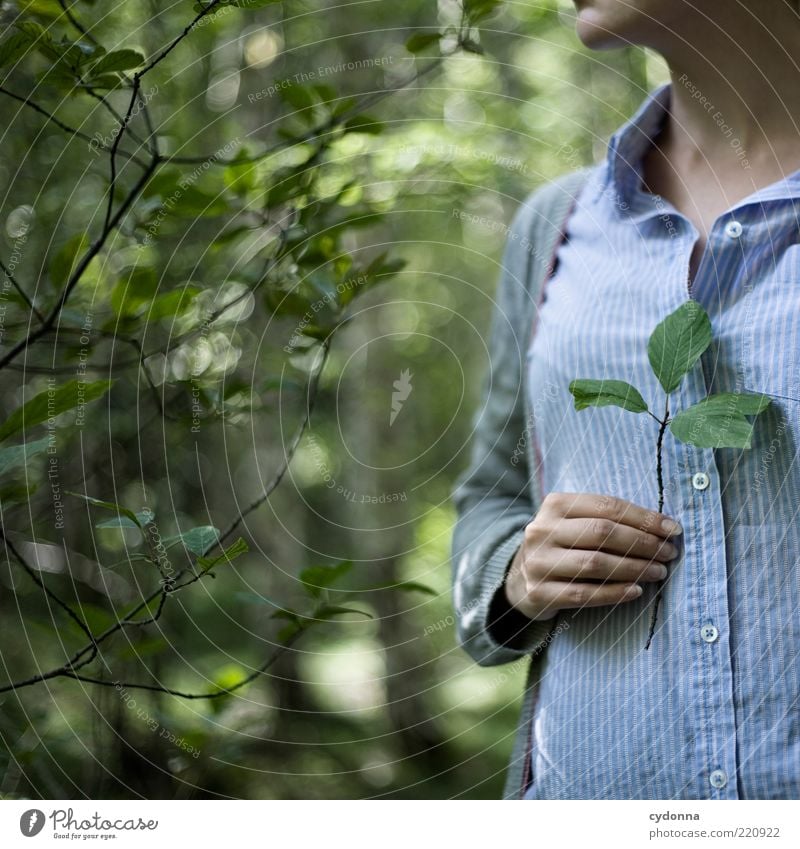 Andenken Lifestyle Stil schön harmonisch Wohlgefühl Zufriedenheit Erholung ruhig Mensch Junge Frau Jugendliche Hand Umwelt Natur Sommer Blatt Wald ästhetisch