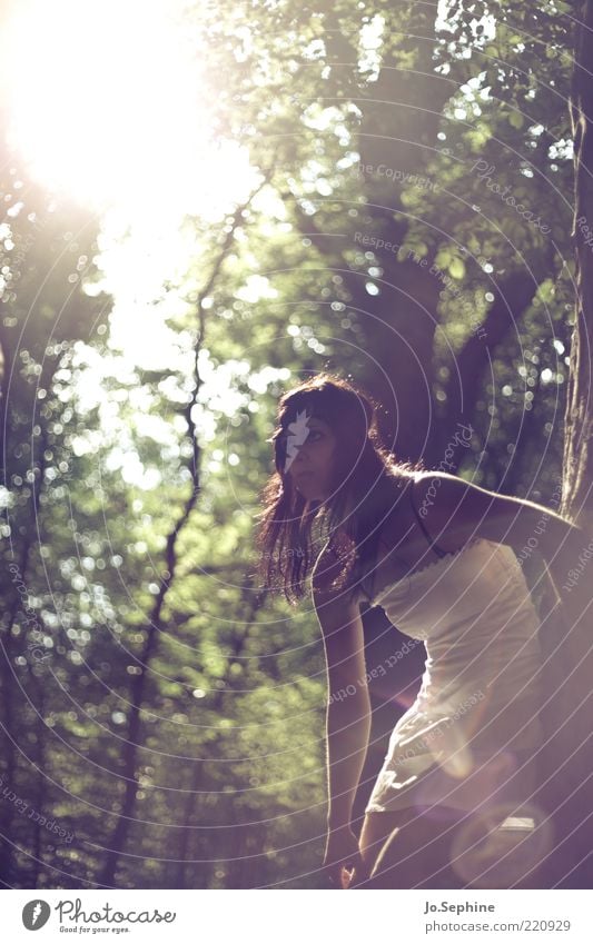 Mielikki feminin Junge Frau Jugendliche 1 Mensch 18-30 Jahre Erwachsene Natur Wald Kleid beobachten braun grün Stimmung Erwartung Halbprofil langhaarig brünett