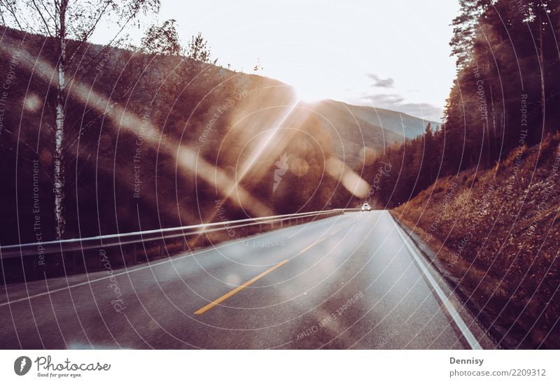 Norway road Ferien & Urlaub & Reisen Ausflug Abenteuer Ferne Natur Landschaft Sonne Schönes Wetter Hügel Berge u. Gebirge Straße fahren authentisch