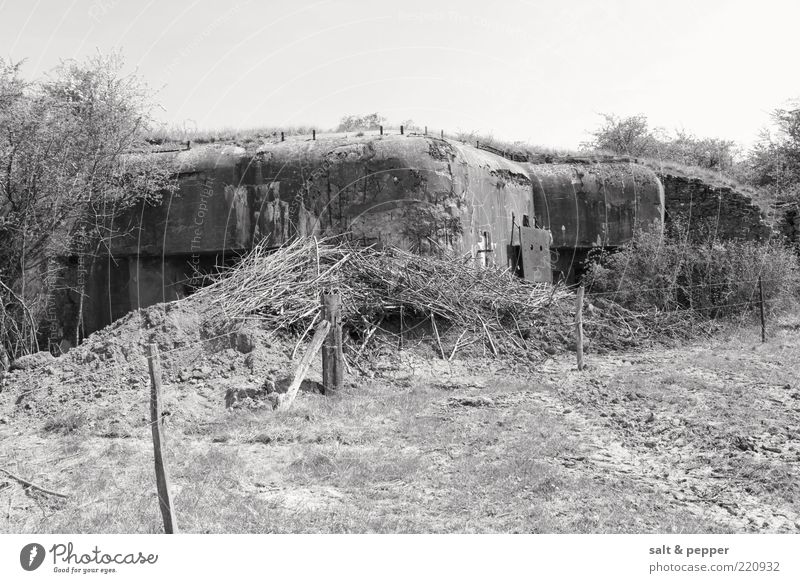 BUNKER - FRANKREICH Feld Ruine Wege & Pfade Bunker Kriegsschauplatz Schwarzweißfoto Außenaufnahme Detailaufnahme Hintergrund neutral Tag Sträucher