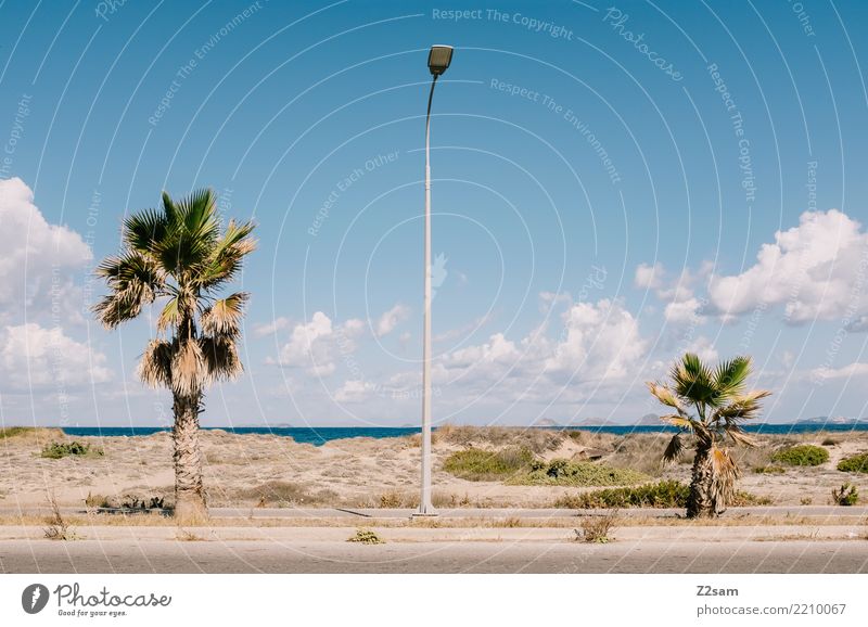 griechischer urbanismus Ferien & Urlaub & Reisen Sommerurlaub Meer Natur Himmel Schönes Wetter Palme Küste Straßenbeleuchtung Verkehrswege ästhetisch einfach