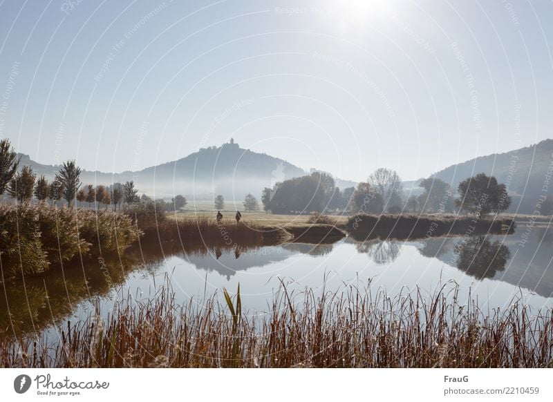 Herbstspaziergang maskulin 2 Mensch Natur Landschaft Wasser Himmel Sonne Schönes Wetter Nebel Baum Sträucher Schilfrohr Wald Berge u. Gebirge See