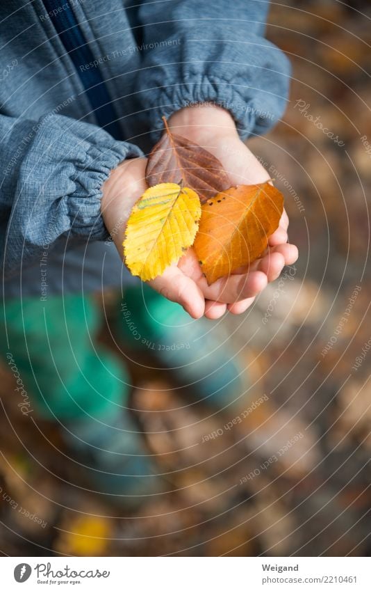 Drei X Erholung ruhig Meditation Spielen Kind Kleinkind Kindheit 1 Mensch träumen Traurigkeit trösten dankbar achtsam Toleranz Leben vernünftig Weisheit