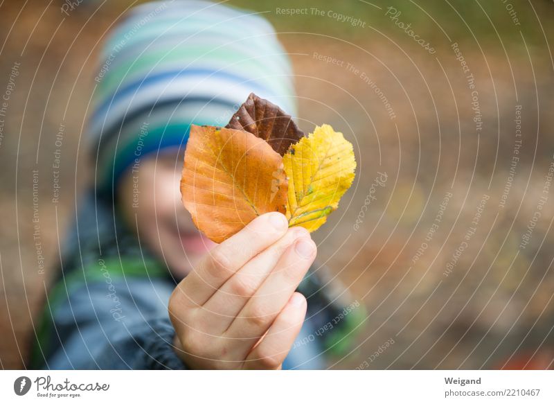 Drei IX Gesundheit Wohlgefühl Zufriedenheit Sinnesorgane Freizeit & Hobby Spielen Kindererziehung Kindergarten Junge Kindheit Hand genießen braun gelb achtsam