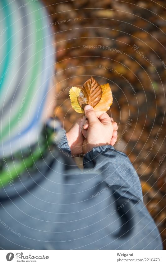 Tricolore Wohlgefühl Zufriedenheit Sinnesorgane Erholung ruhig Meditation Kind Kleinkind Junge Kindheit 1 Mensch Glück braun mehrfarbig Solidarität Wald