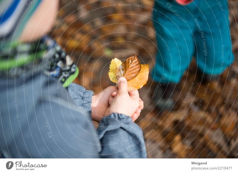 Drei VIII Sinnesorgane Freizeit & Hobby Spielen Kindergarten Schule Geschwister genießen einfach braun gelb Menschlichkeit Solidarität trösten dankbar achtsam