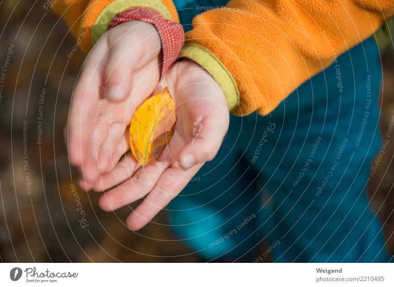 Kostbarkeit Gesundheit Wellness Leben harmonisch Wohlgefühl Zufriedenheit Sinnesorgane Duft Erntedankfest Kindergarten Kleinkind Mädchen Junge Kindheit 1 Mensch