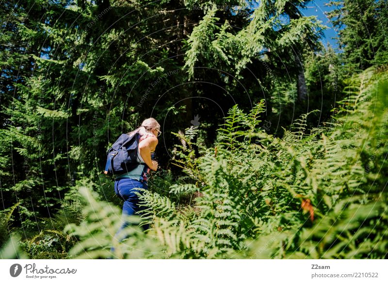 Aufstieg Ferien & Urlaub & Reisen Ausflug Abenteuer wandern feminin Junge Frau Jugendliche 18-30 Jahre Erwachsene Umwelt Natur Landschaft Sommer Schönes Wetter