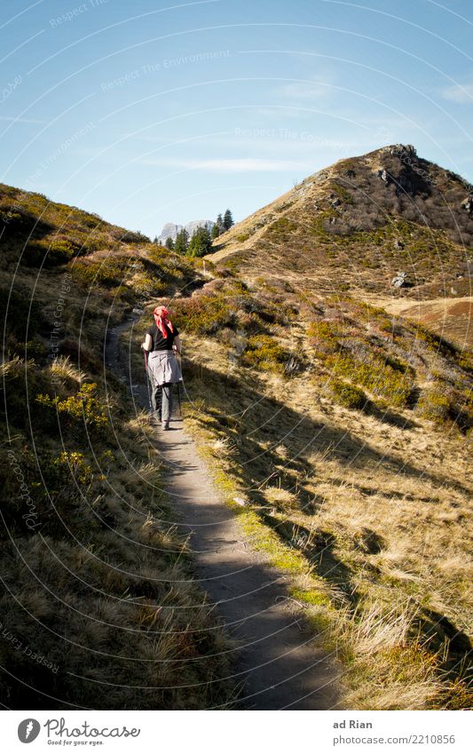 Wanderwetter V Ferien & Urlaub & Reisen Tourismus Ausflug Abenteuer Ferne Freiheit Berge u. Gebirge wandern feminin Frau Erwachsene 1 Mensch Umwelt Natur