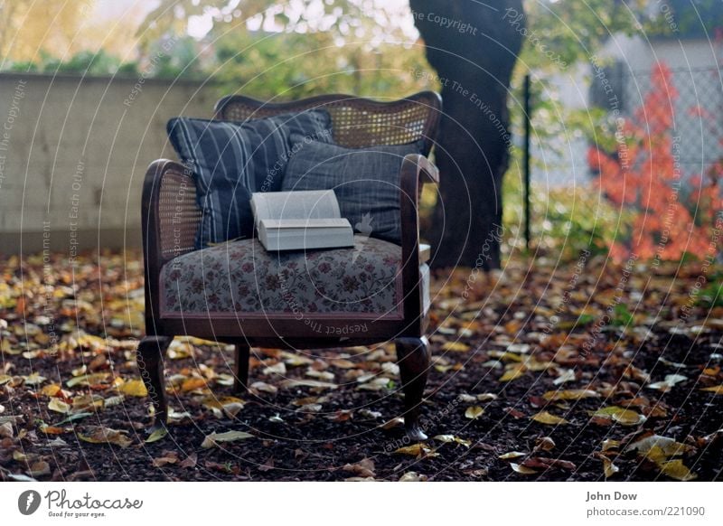 Herbstgeflüster Garten Bildung lernen Baum Sträucher Menschenleer Sessel Kissen Buch gemütlich Freiheit Blatt Idylle Nostalgie blättern blätternd