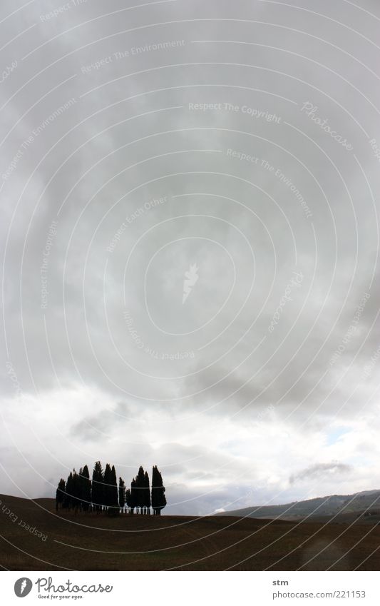 stille beobachter Umwelt Natur Landschaft Pflanze Himmel Wolken Gewitterwolken Horizont Herbst Wetter schlechtes Wetter Regen Baum Zypresse Feld Hügel Wäldchen