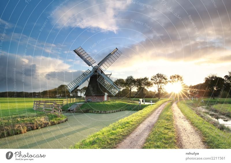 Windmühle, Landstraße und Fluss bei Sonnenaufgang, die Niederlande schön Ferien & Urlaub & Reisen Umwelt Landschaft Himmel Wolken Sommer Schönes Wetter Gras